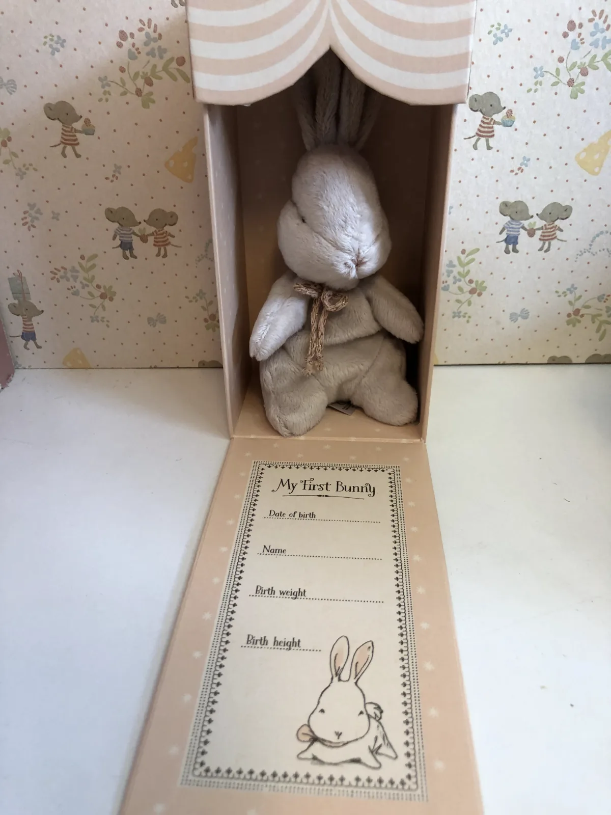 MY FIRST BUNNY