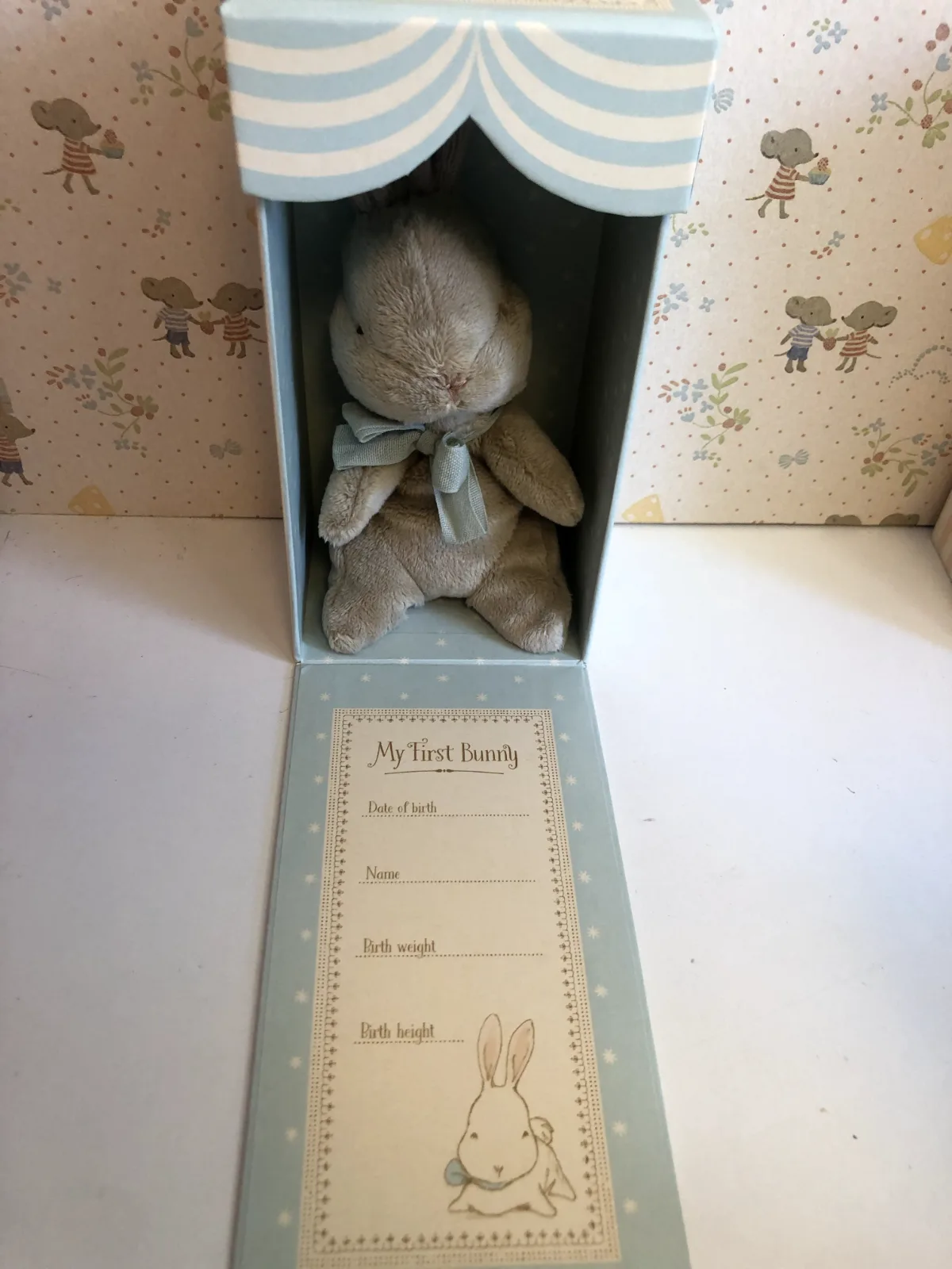 MY FIRST BUNNY