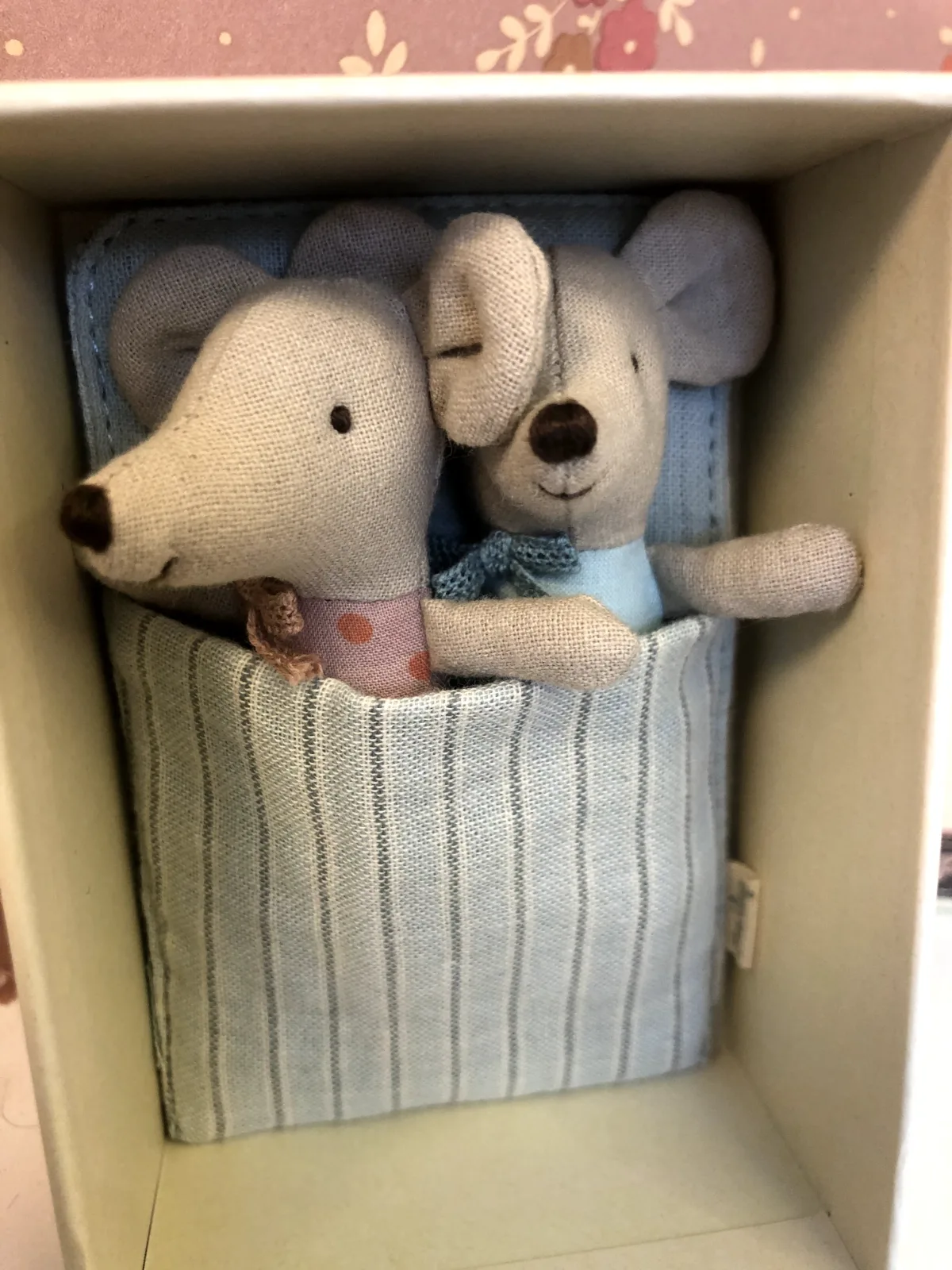 TWINS, BABY MICE IN MATCHBOX