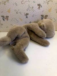 Sleeping kitten plush, small