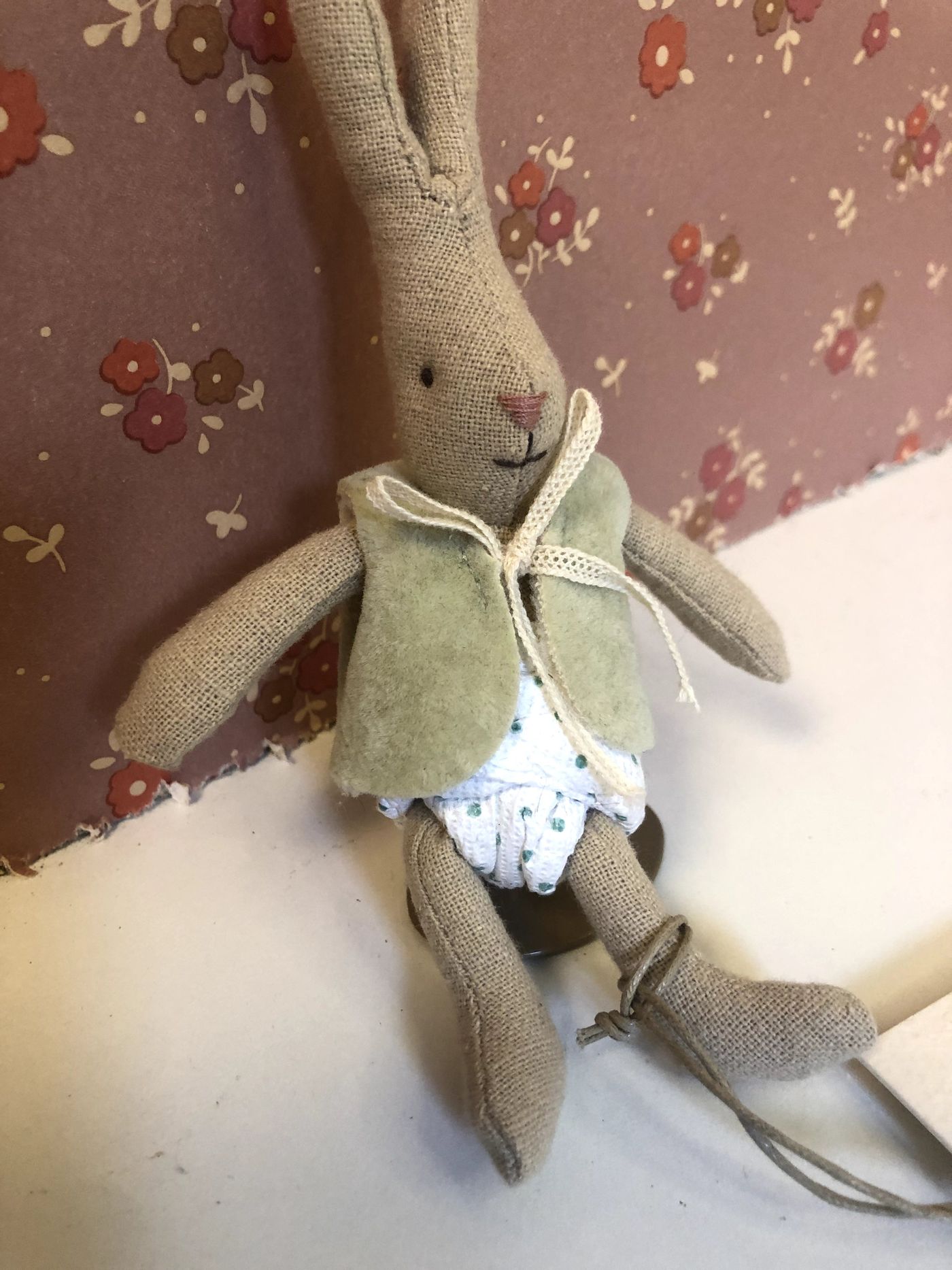MICRO, RABBIT