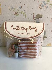 Toothbrush set in bag