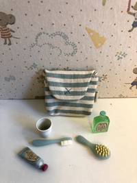 Toothbrush set in bag