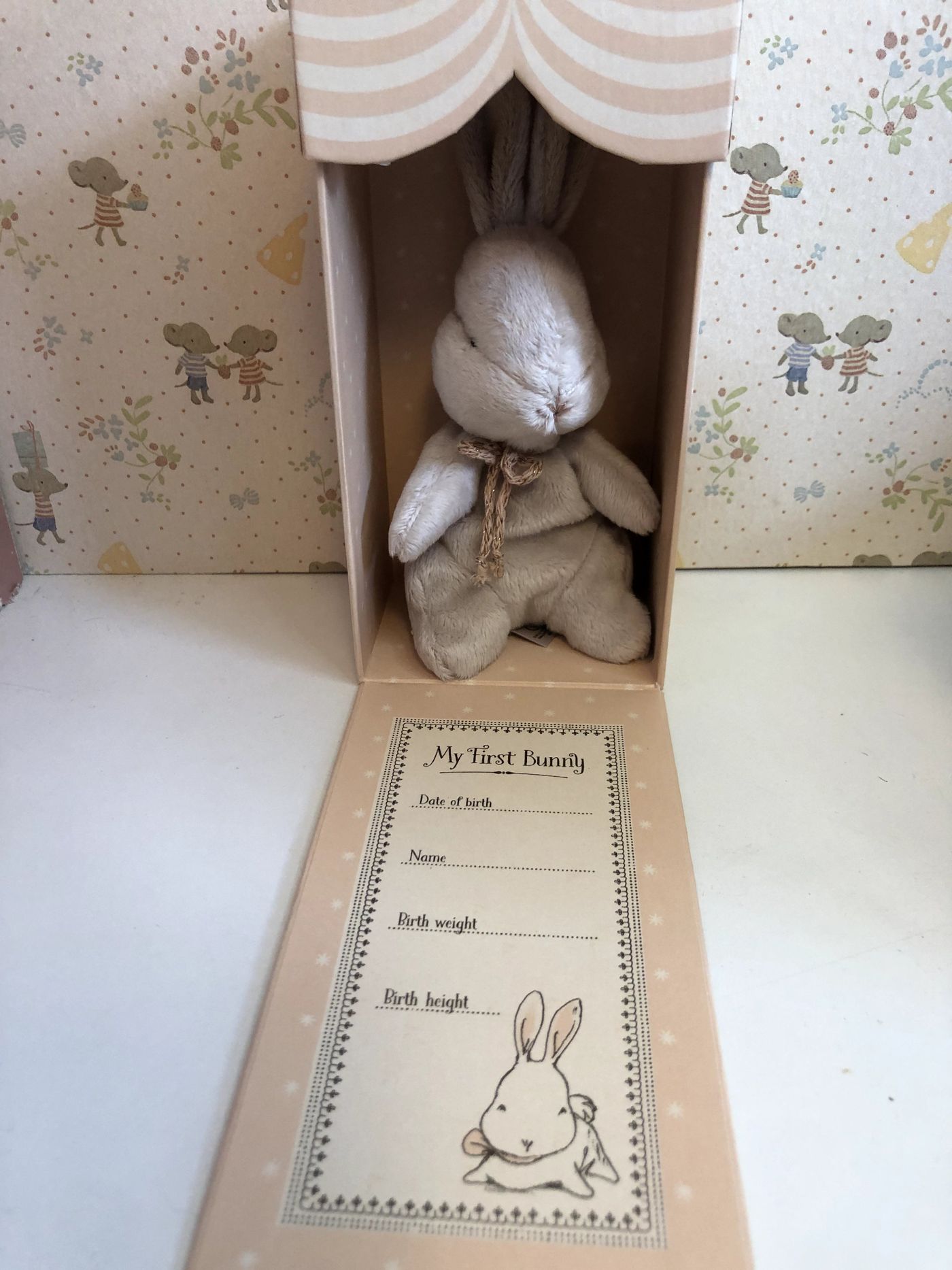 MY FIRST BUNNY