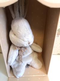 MY FIRST BUNNY