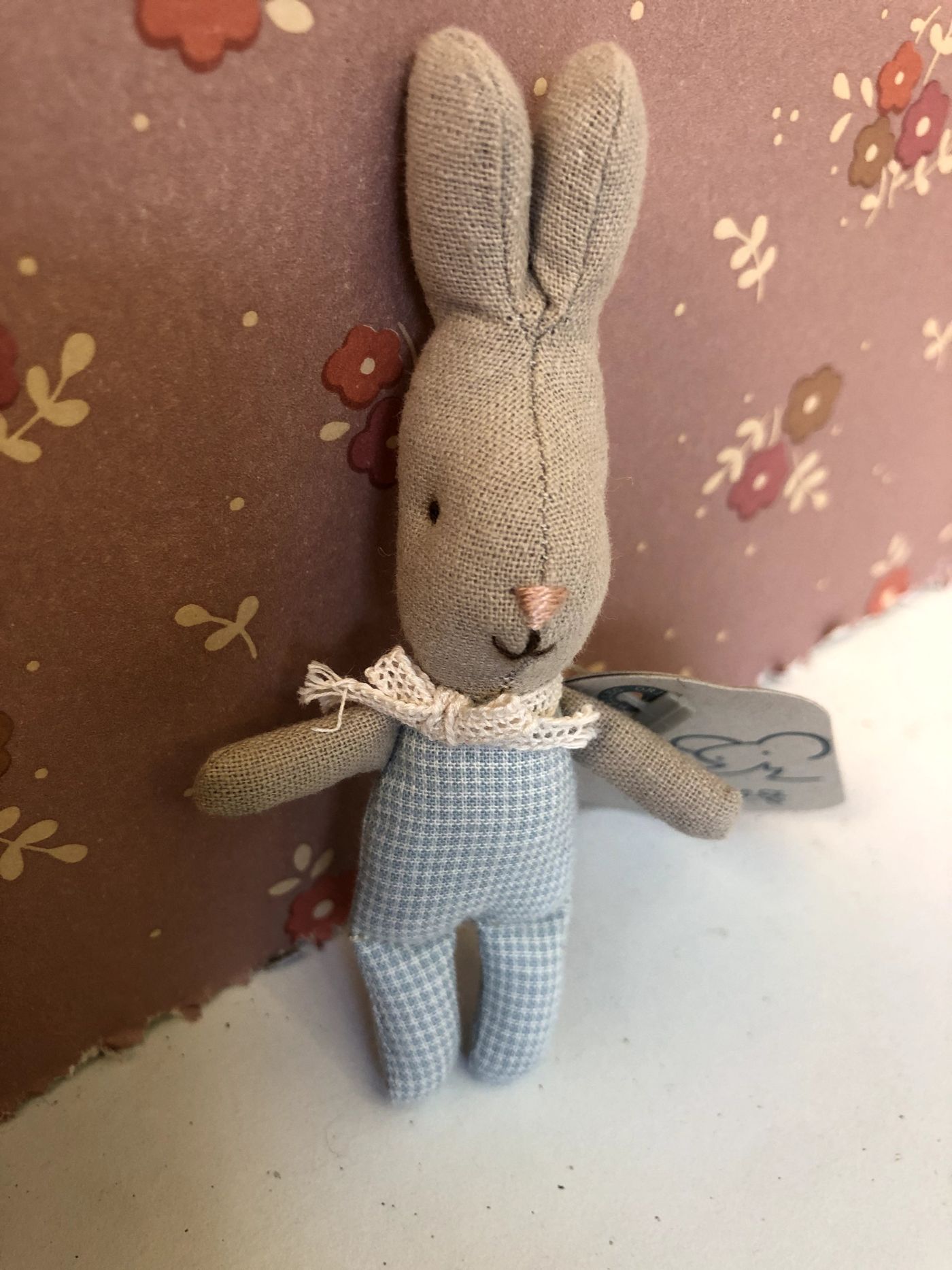 RABBIT, MY