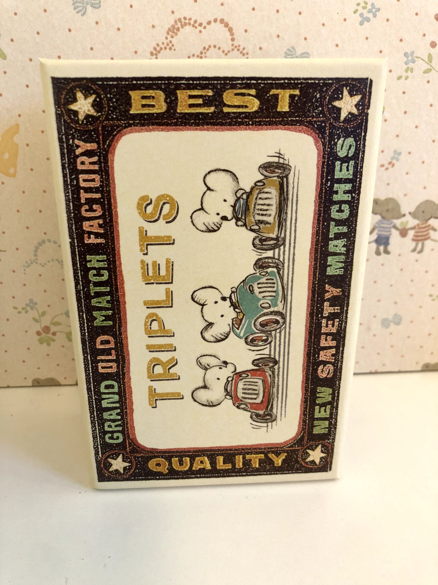 Triplets, baby mice in matchbox - checker