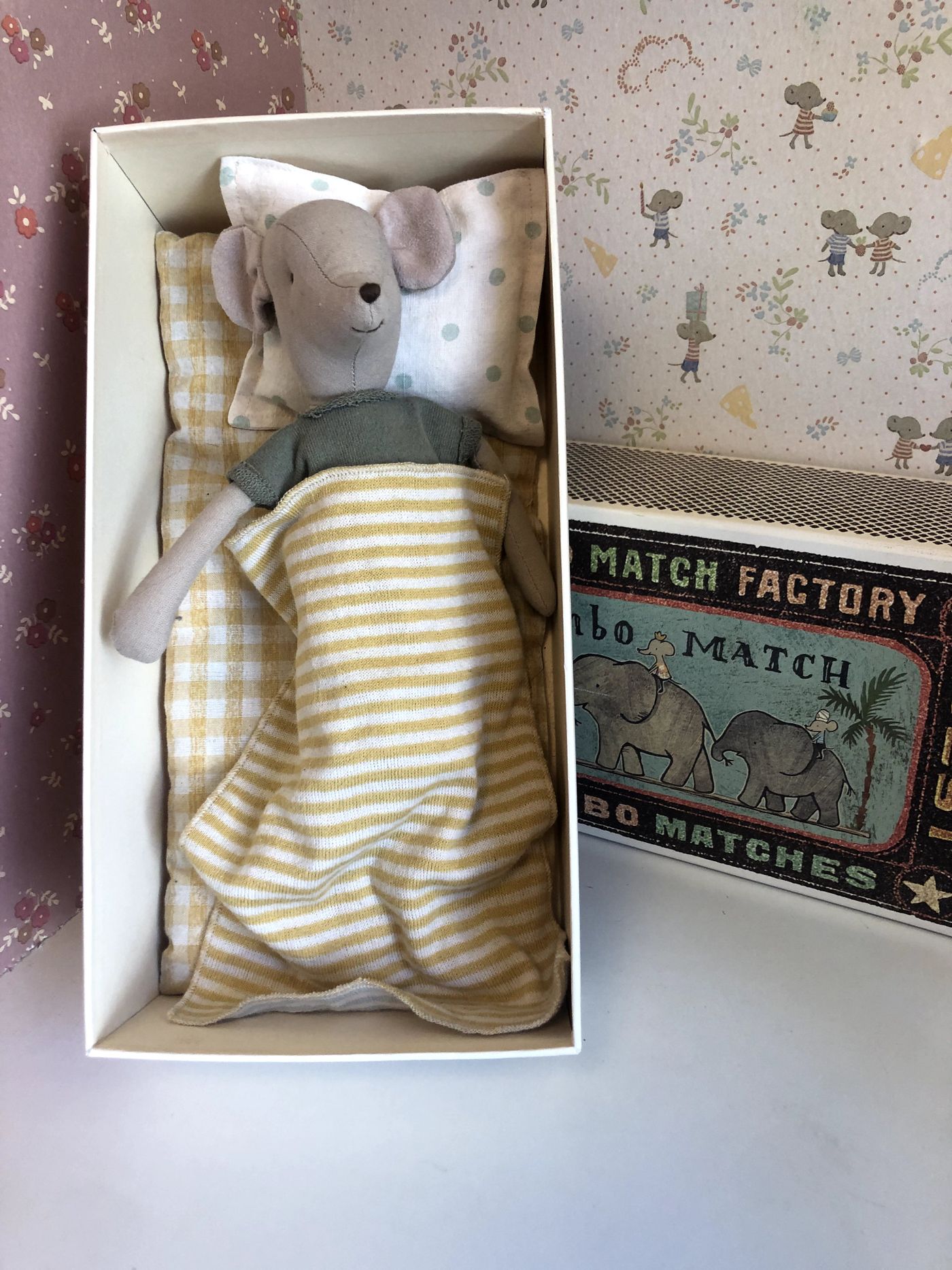 MOUSE IN BOX